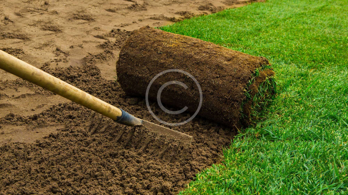 Lawn Care